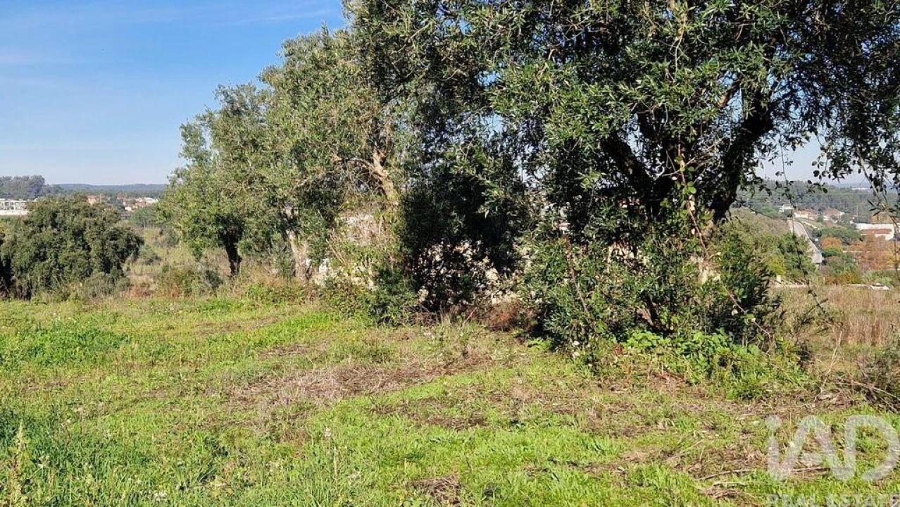 Terreno para Venda em Batalha Foto 19