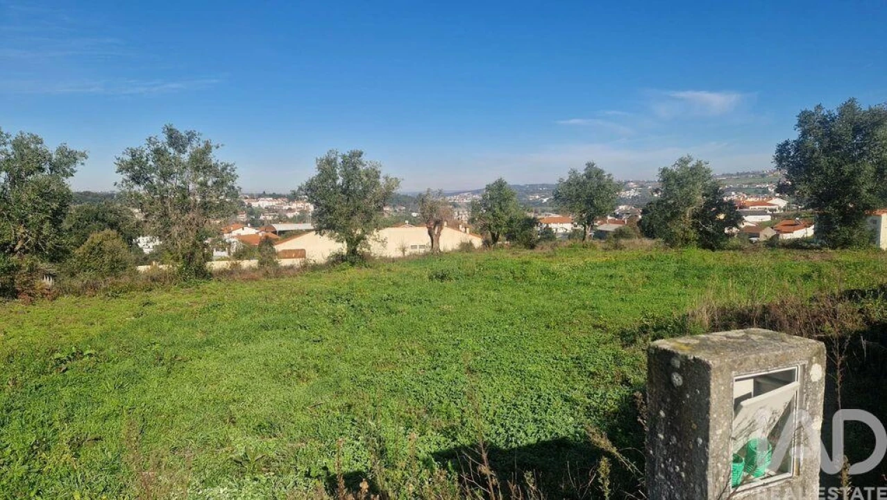 Terreno para Venda em Batalha Foto 11