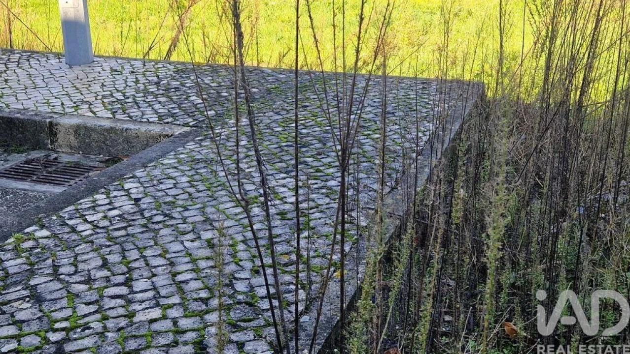 Terreno para Venda em Batalha Foto 17