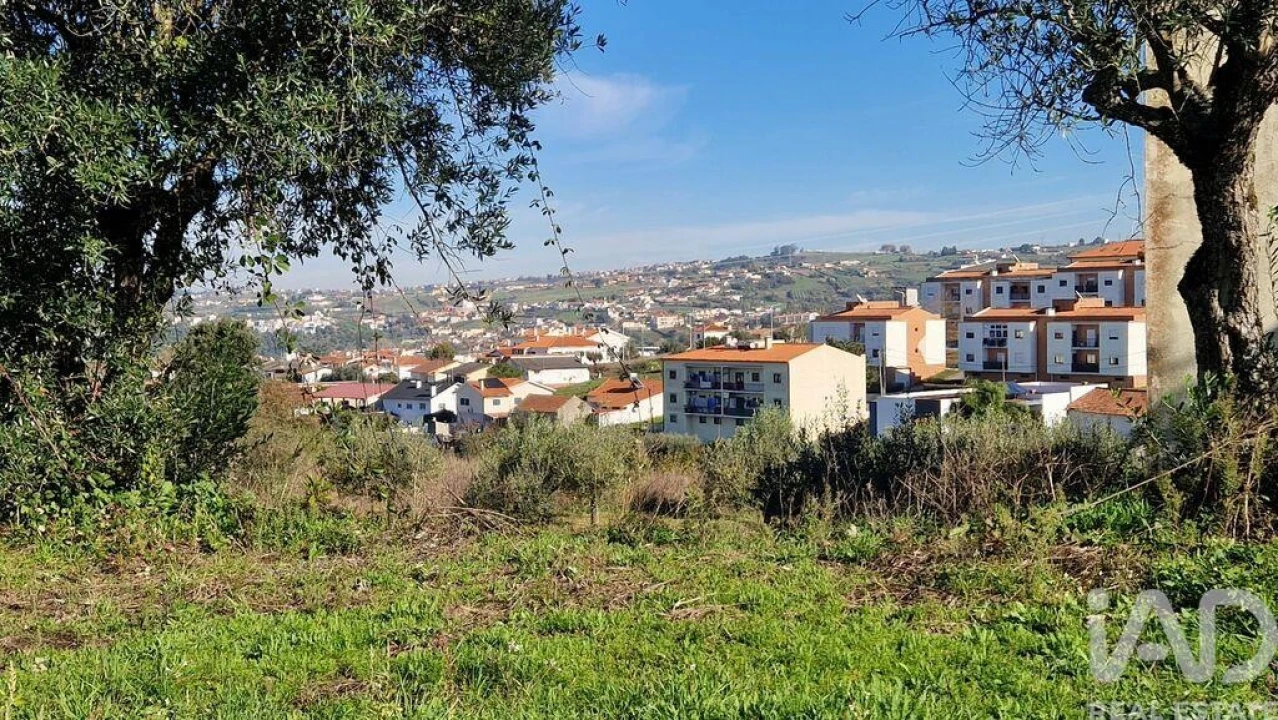 Terreno para Venda em Batalha Foto 20