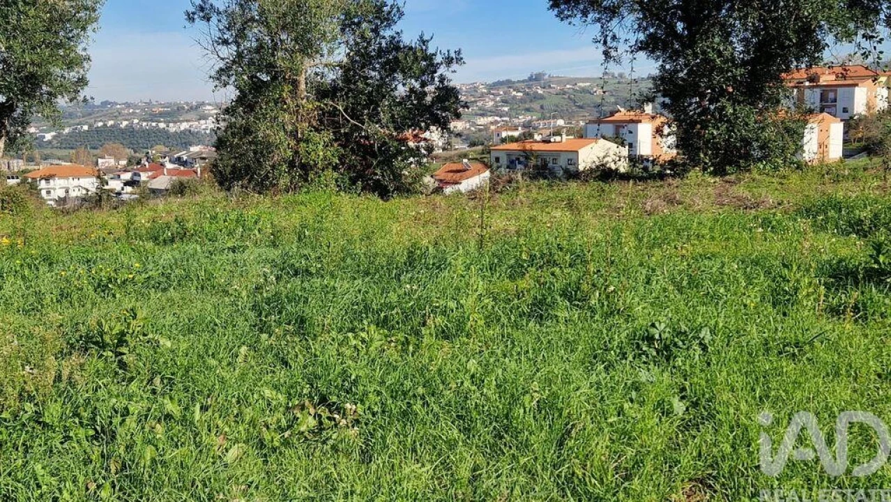 Terreno para Venda em Batalha Foto 14