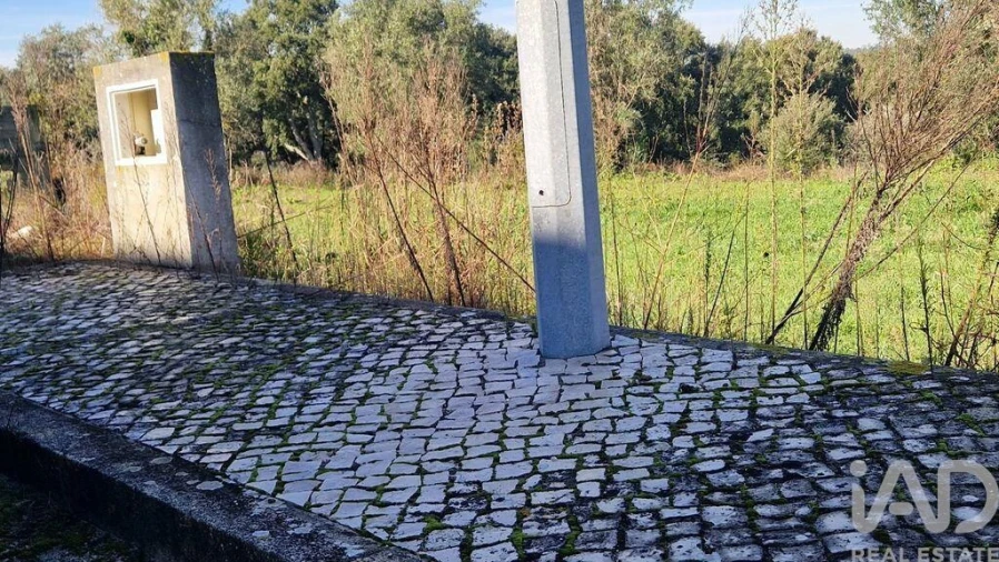 Terreno para Venda em Batalha Foto 24