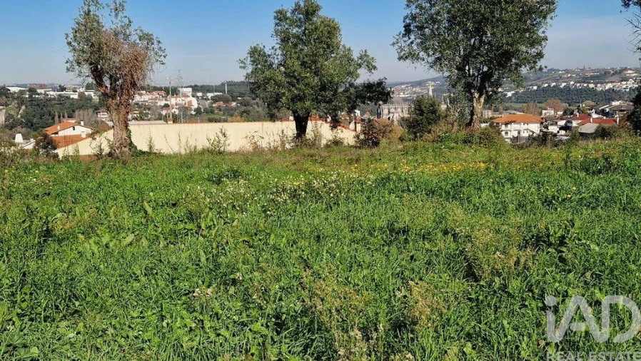 Terreno para Venda em Batalha Foto 9