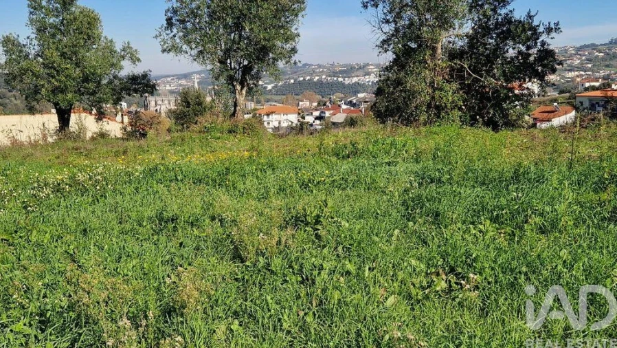 Terreno para Venda em Batalha Foto 13