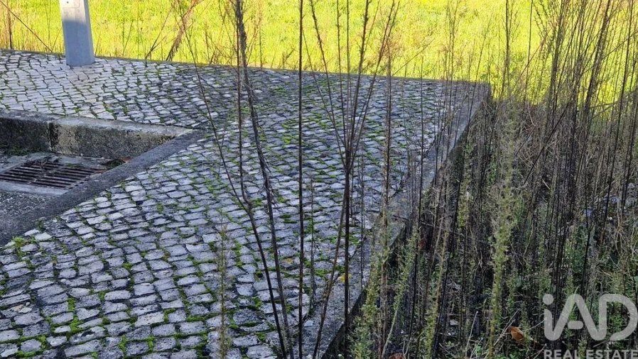 Terreno para Venda em Batalha Foto 17