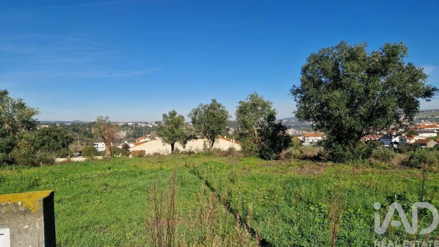 Terreno para Venda em Batalha Foto 12