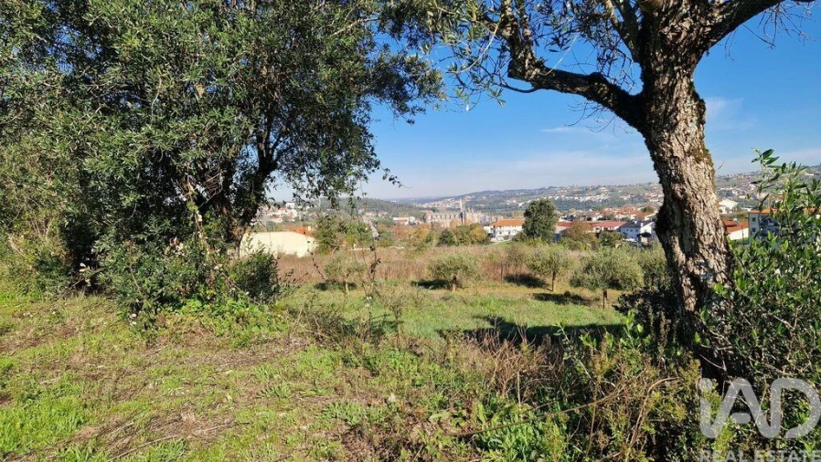 Terreno para Venda em Batalha Foto 5