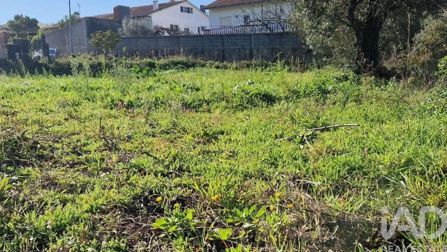 Terreno para Venda em Batalha Foto 10