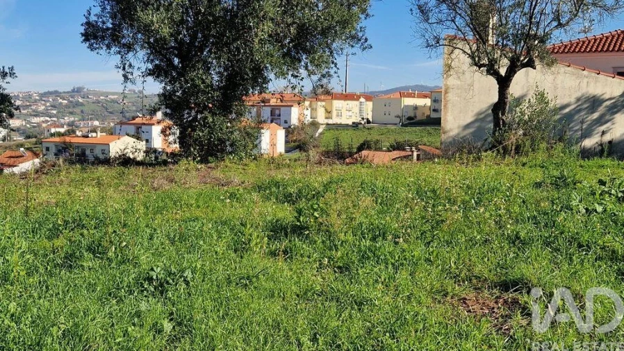 Terreno para Venda em Batalha Foto 15