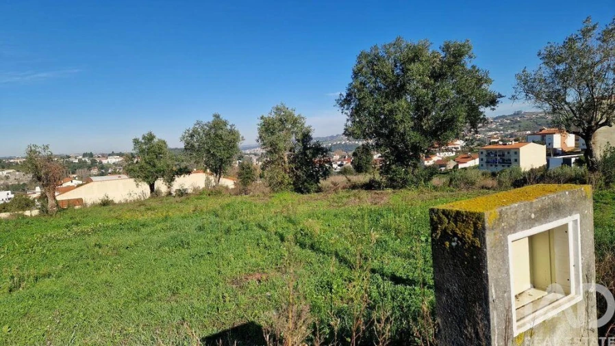 Terreno para Venda em Batalha Foto 23