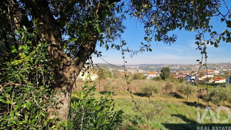 Terreno para Venda em Batalha Foto 8