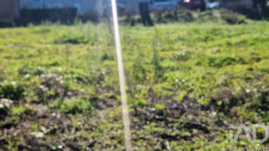 Terreno para Venda em Batalha Foto 4