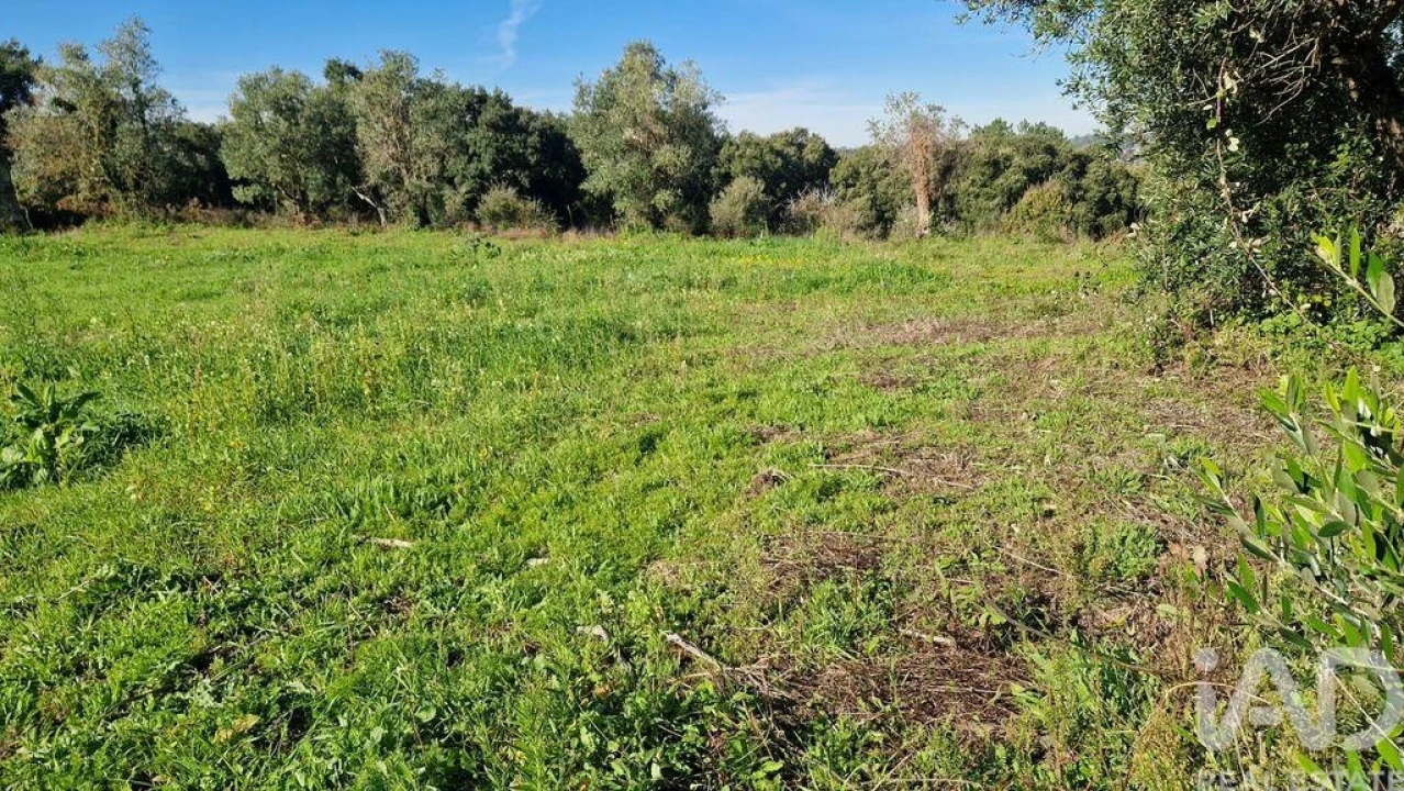 Terreno para Venda em Batalha Foto 6