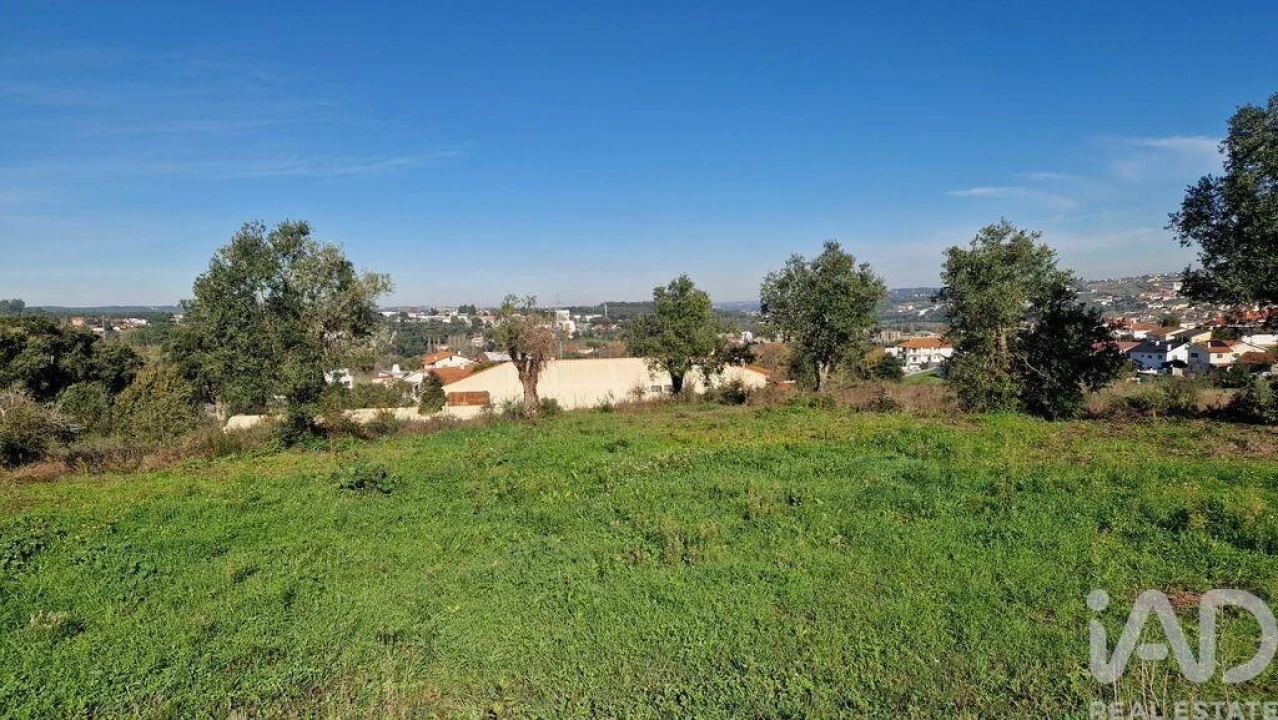 Terreno para Venda em Batalha Foto 22