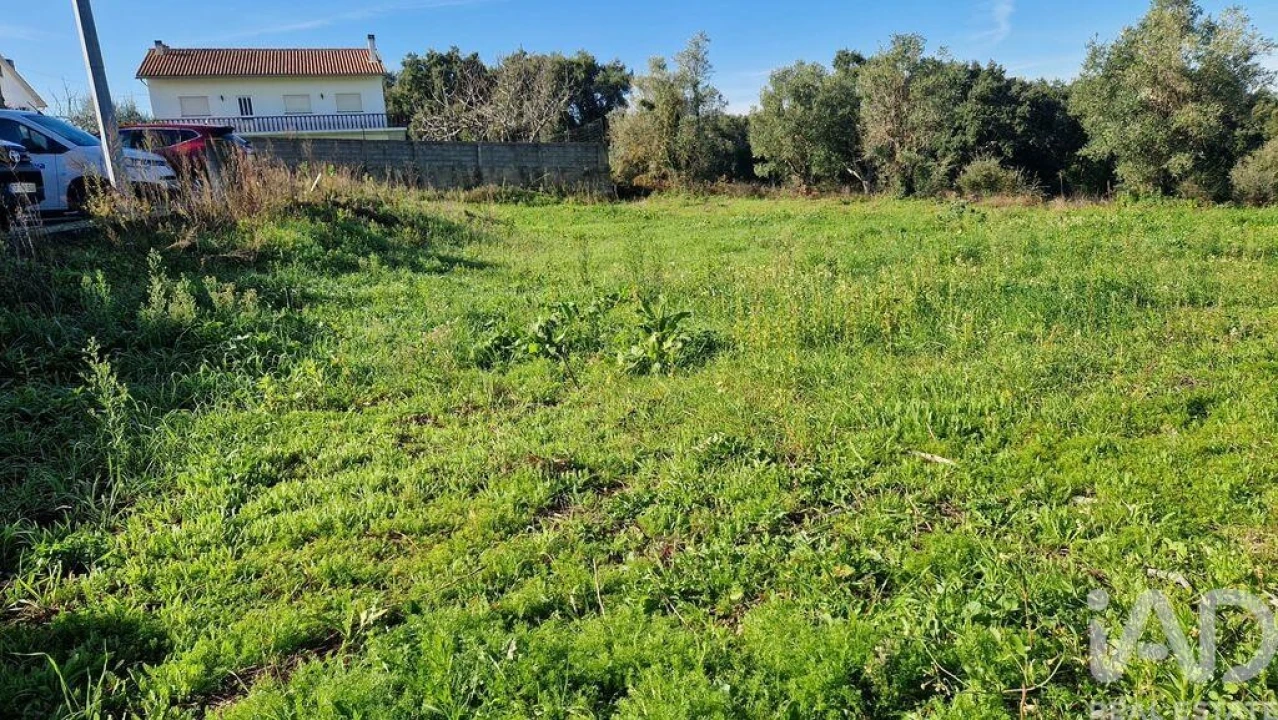 Terreno para Venda em Batalha Foto 7