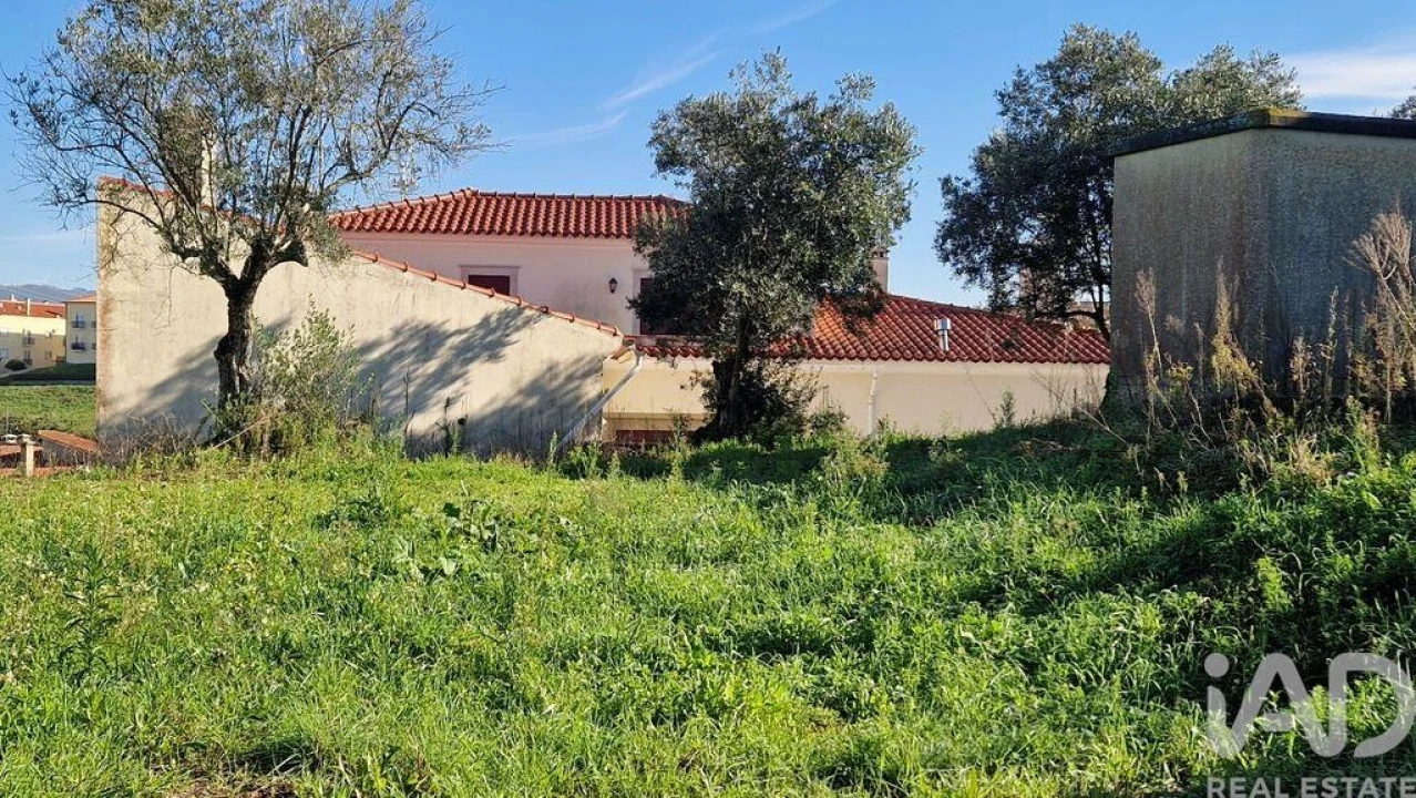 Terreno para Venda em Batalha Foto 16