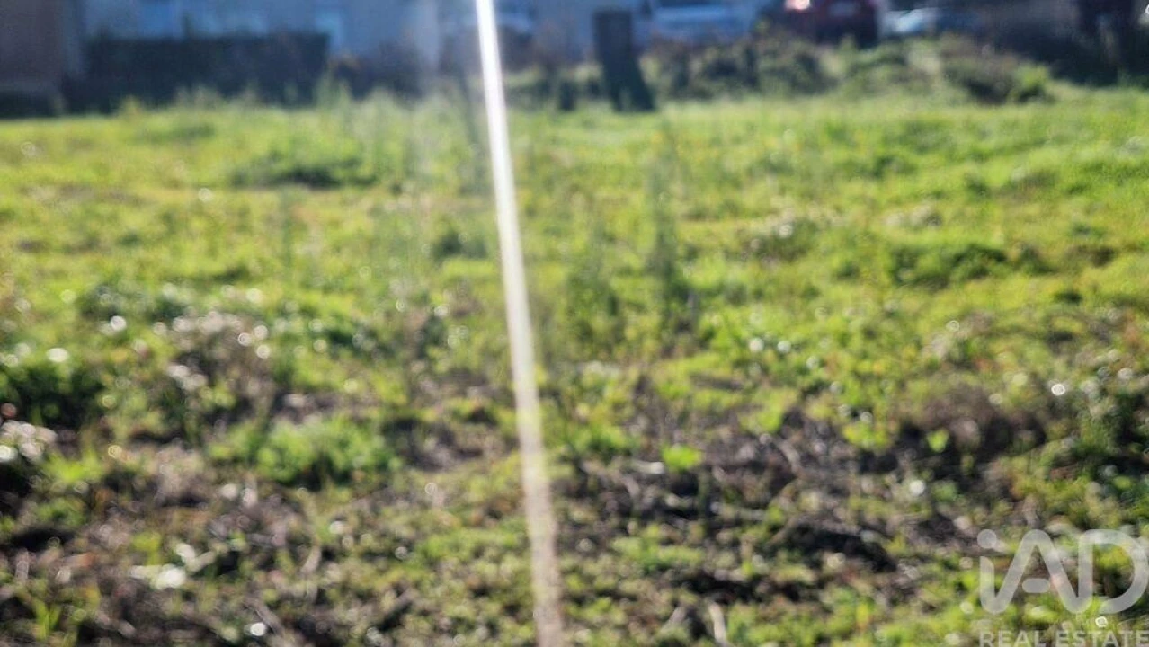 Terreno para Venda em Batalha Foto 4