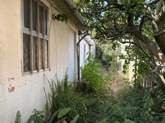 Prédio para Venda em Paranhos Foto 11