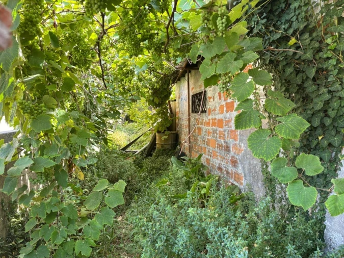 Prédio para Venda em Paranhos Foto 13