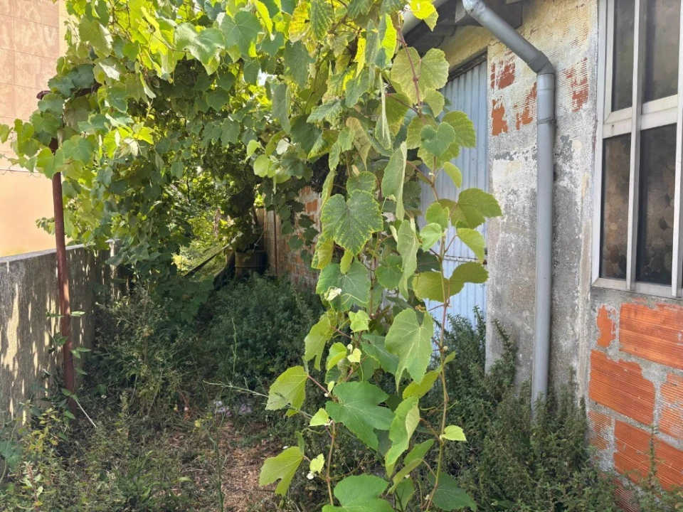 Prédio para Venda em Paranhos Foto 12