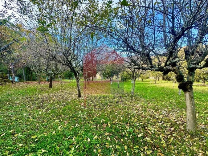 Moradia T3 para Venda em Valdreu Foto 29