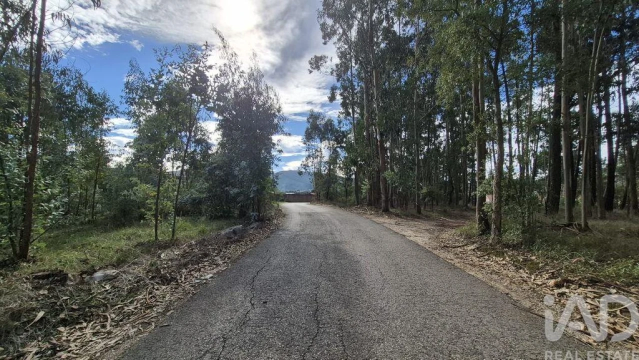 Terreno para Venda em Pedreiras Foto 3