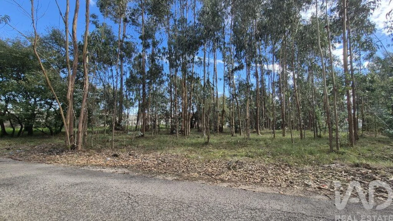 Terreno para Venda em Pedreiras Foto 1