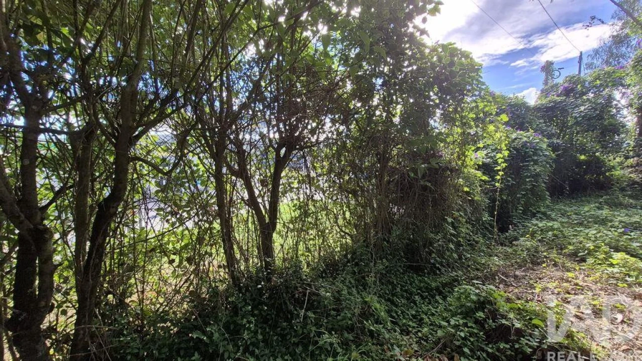 Terreno para Venda em Pedreiras Foto 17