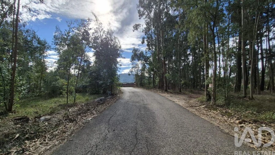 Terreno para Venda em Pedreiras Foto 3