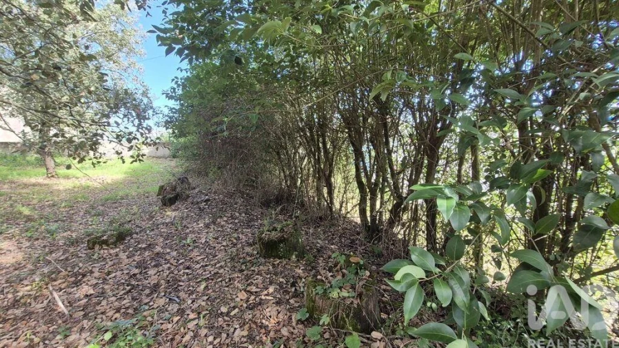 Terreno para Venda em Pedreiras Foto 22