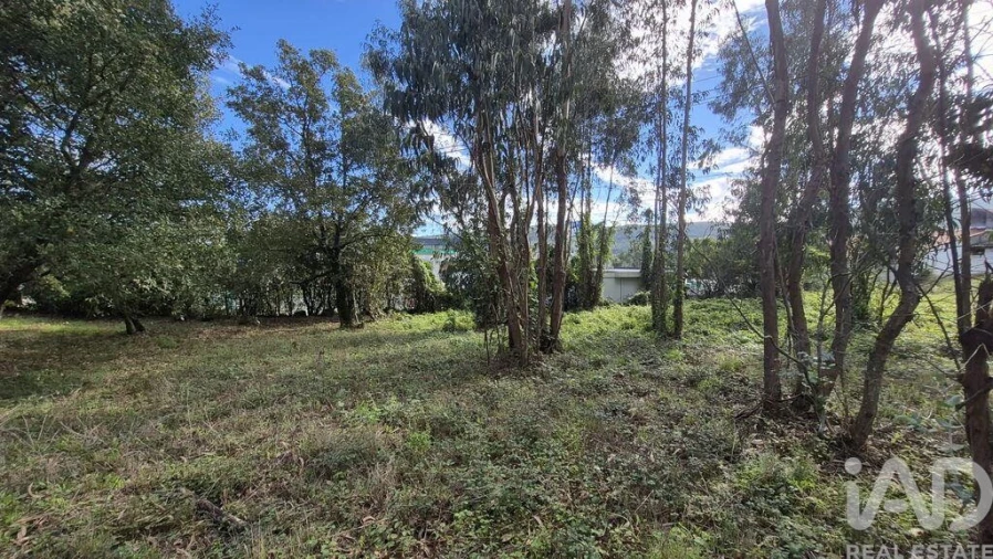 Terreno para Venda em Pedreiras Foto 10