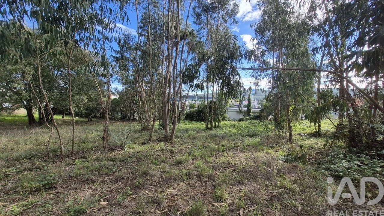 Terreno para Venda em Pedreiras Foto 11