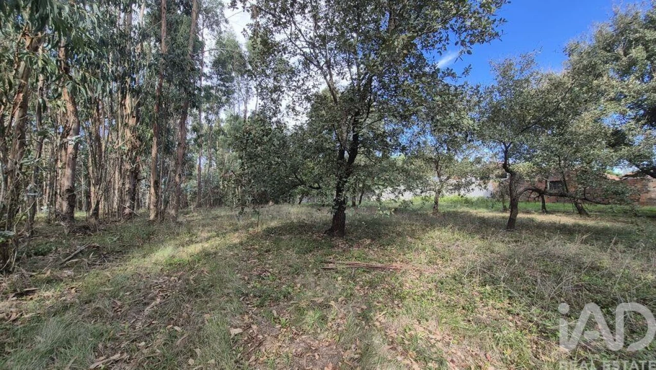 Terreno para Venda em Pedreiras Foto 9