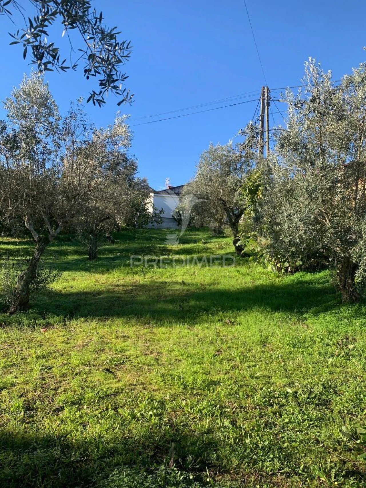 Terreno para Venda em Alvega e Concavada Foto 6