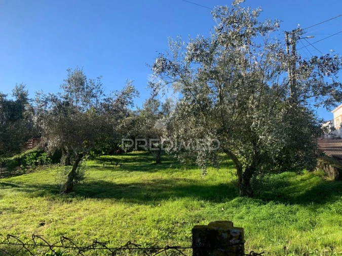 Terreno para Venda em Alvega e Concavada Foto 2