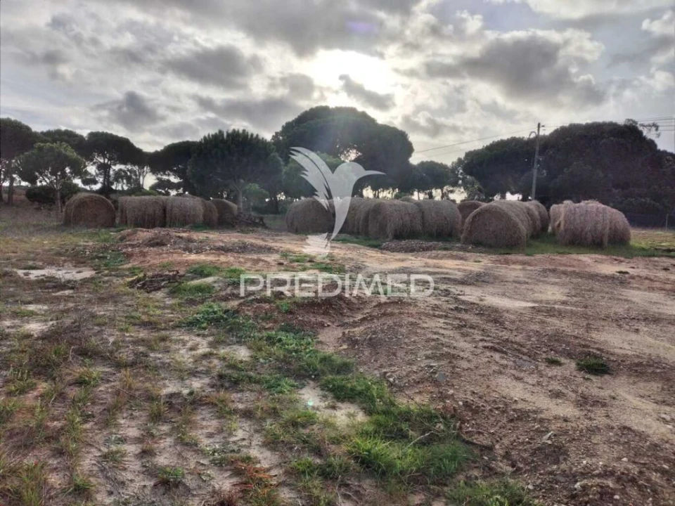 Terreno para Venda em Melides Foto 4