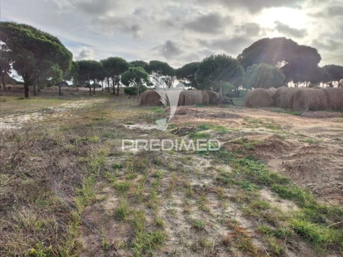 Terreno para Venda em Melides Foto 1