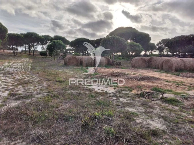 Terreno para Venda em Melides Foto 10