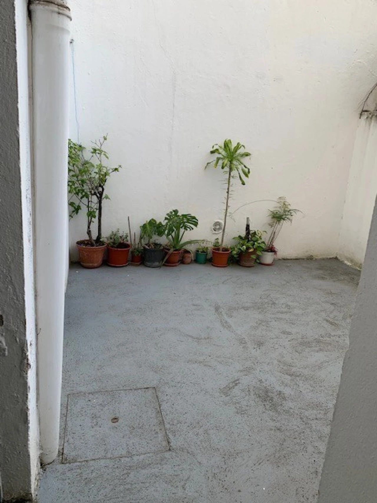 Armazém para Arrendamento em Alcantara Foto 4