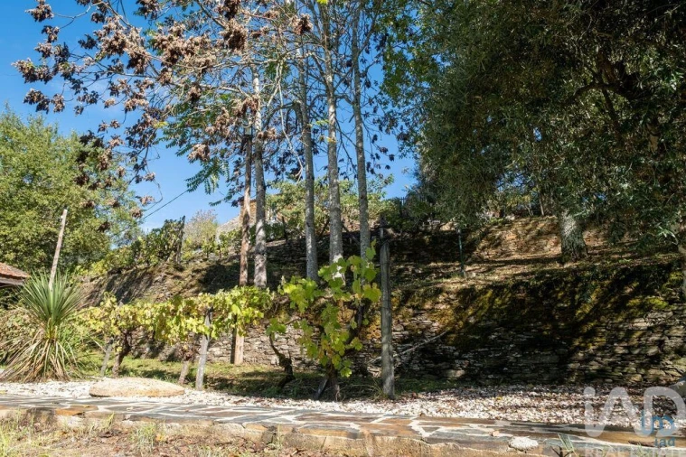 Quinta T5 para Venda em Côja e Barril de Alva Foto 40