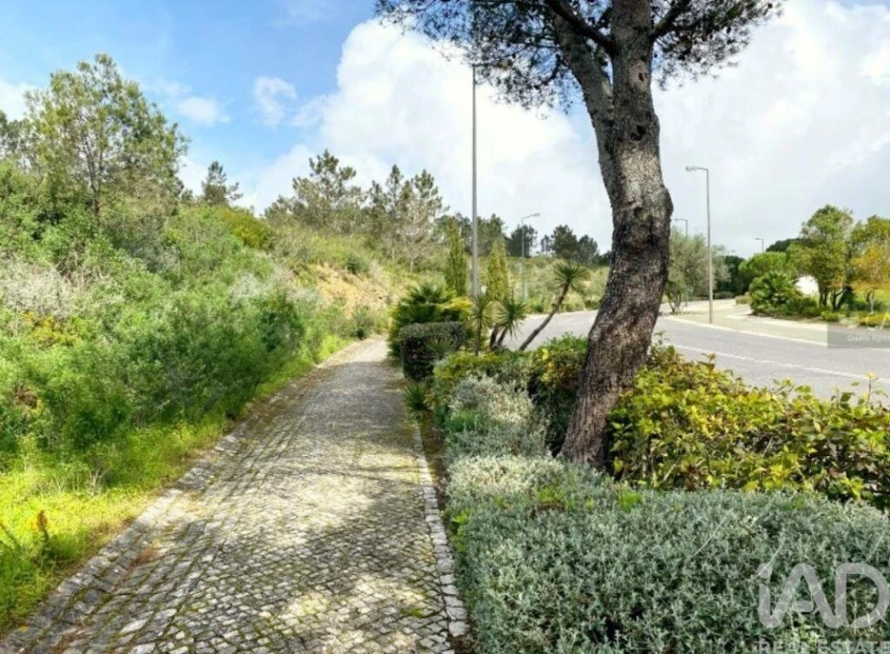 Terreno para Venda em Queluz e Belas Foto 16