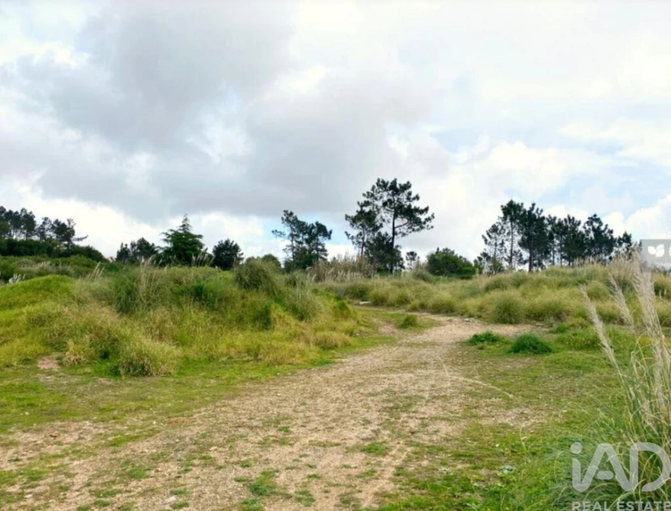 Terreno para Venda em Queluz e Belas Foto 8