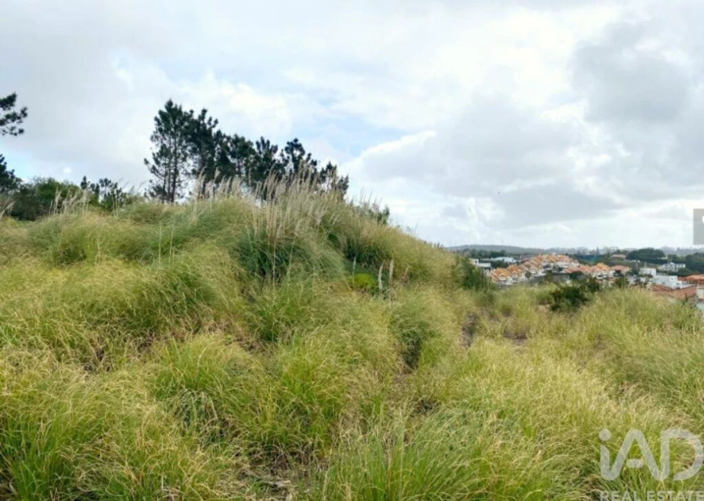 Terreno para Venda em Queluz e Belas Foto 4