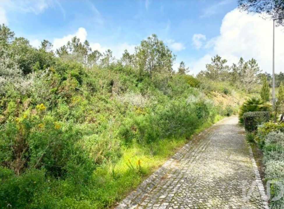 Terreno para Venda em Queluz e Belas Foto 3