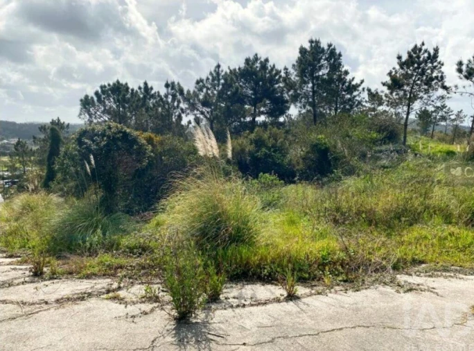 Terreno para Venda em Queluz e Belas Foto 5