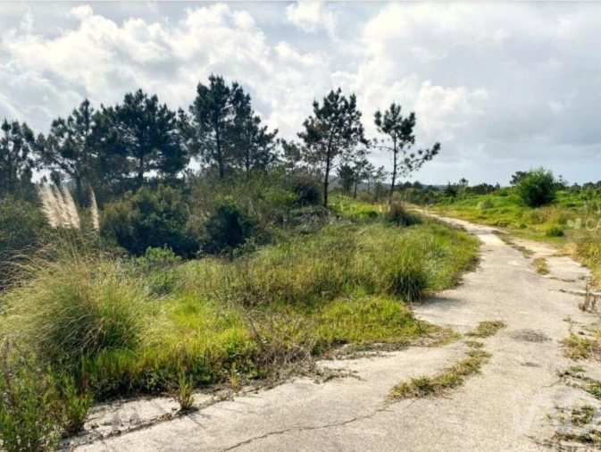 Terreno para Venda em Queluz e Belas Foto 12