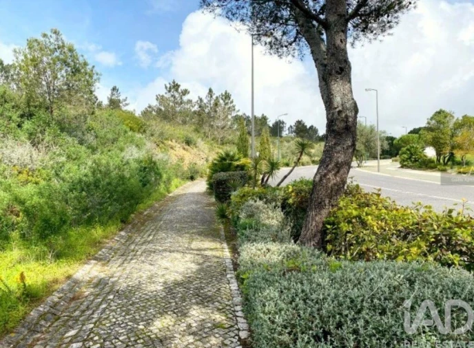 Terreno para Venda em Queluz e Belas Foto 16