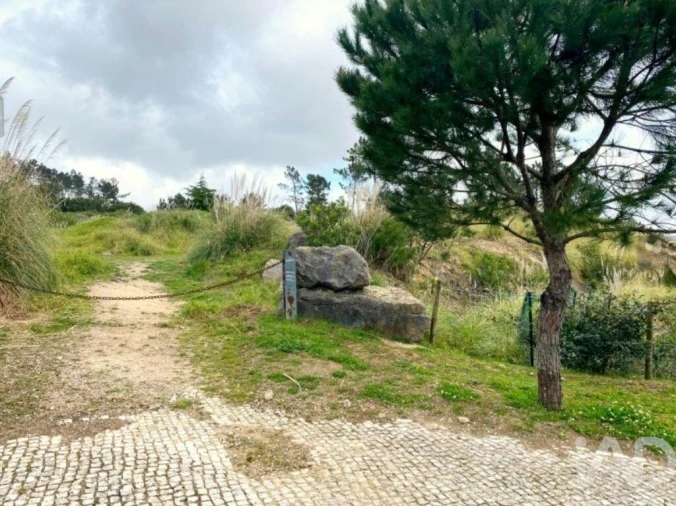 Terreno para Venda em Queluz e Belas Foto 18