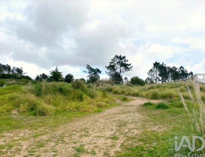 Terreno para Venda em Queluz e Belas Foto 8