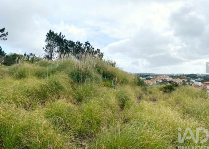 Terreno para Venda em Queluz e Belas Foto 4